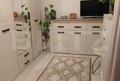 Apartament cu 2 camere semidecomandat, mobilat în Craiovița Nouă - 6