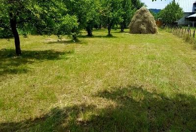 Teren Construcții intravilan de 2331 mp, în Brebu Megieșesc - 1