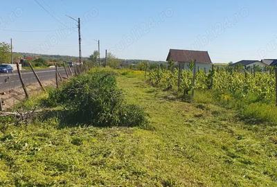 Teren de 2000 mp, în Dumbrăveni - 1