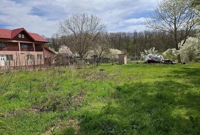 Teren de 651 mp, în Snagov