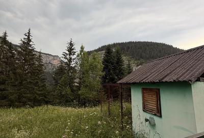 Teren de 817 mp, în Lacu Roșu - 6
