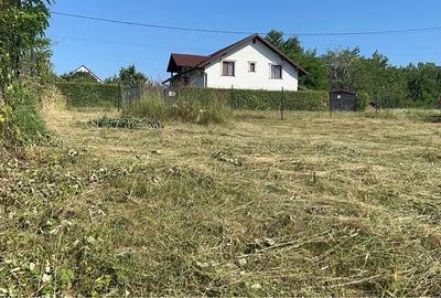 Teren de 665 mp, în Tăuții-Măgherăuș - 10