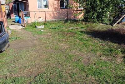 Casă cu 3 camere cu Teren 9100 Mp în Stânca