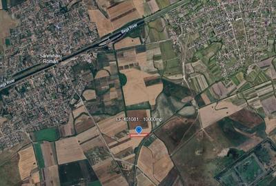 Teren de 10000 mp, în Sânmihaiu Român - 5