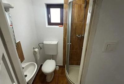 Casă cu 2 camere cu Teren 2700 Mp în Mica - 2