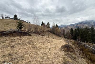 Teren de 1700 mp, în Albac - 8