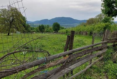 Teren de 3352 mp, în Alexandru cel Bun - 2
