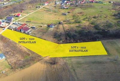 Teren Construcții intravilan de 5460 mp, în Budești