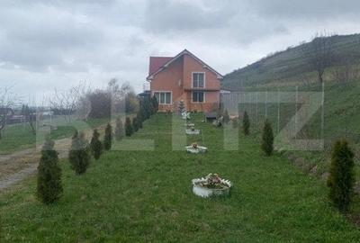 Casă individuală cu 6 camere cu Teren 2800 Mp în Gădălin - 14