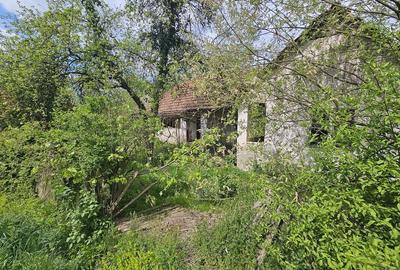 Casă cu Teren 5571 Mp în Zam