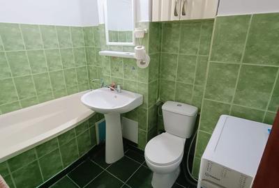 Apartament cu 2 camere decomandat în Craiovița Nouă - 7