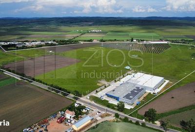 Teren de 5072 mp, în Șura Mică - 4