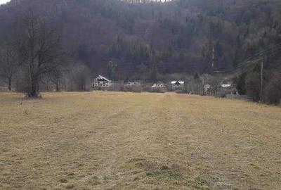Teren de 4488 mp, în Pângărați - 3