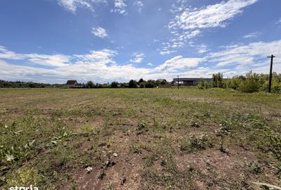 Teren de 5000 mp, în Lunca Oltului - 3