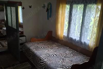 Casă cu 3 camere cu Teren 1525 Mp în Tarcău - 3