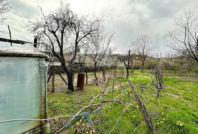 Casă cu Teren 2470 Mp în Mârțești - 6