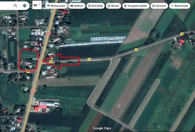 Casă cu Teren 3976 Mp în Dumbrăvița - 4