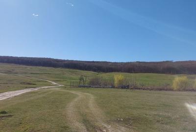 Teren de 2600 mp, în Reuseni - 2