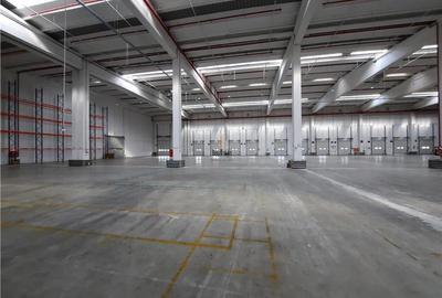 Spațiu industrial, de 5,000 mp, în Est - 4