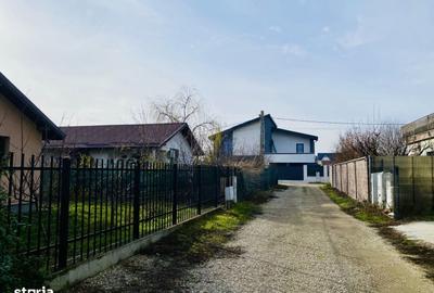 Spațiu comercial, în Tamași - 3