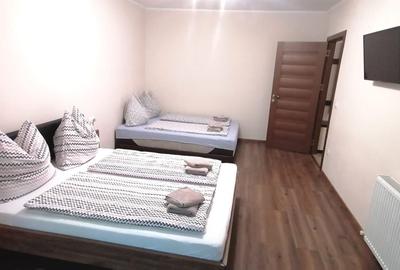Apartament cu 2 camere decomandat în Băile Felix