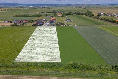 Teren Construcții intravilan de 9300 mp, în Stupini - 3