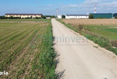 Teren de 66400 mp, în Central - 2
