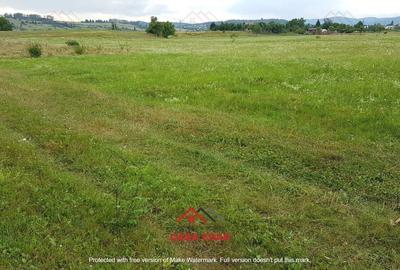 Teren Construcții intravilan de 1527 mp, în Câmpina - 2