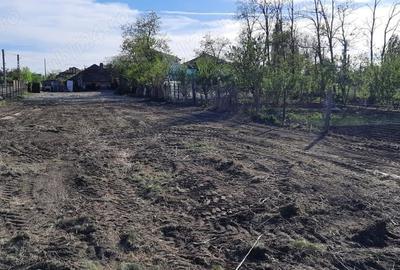 Teren de 1500 mp, în Săgeata - 3