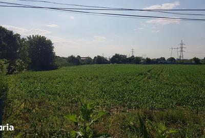 Teren de 5000 mp, în Jilava - 2