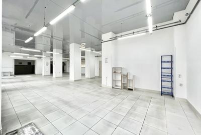 Spațiu comercial, de 266 mp, în Cișmigiu - 11