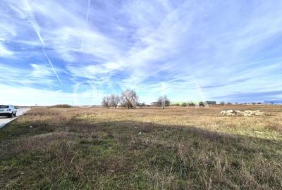 Teren Construcții intravilan de 3000 mp, în Șagului - 3
