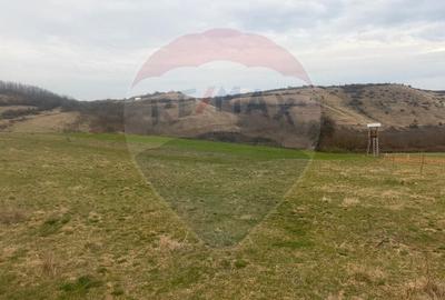 Teren Construcții de 3400 mp, în Crișeni - 4