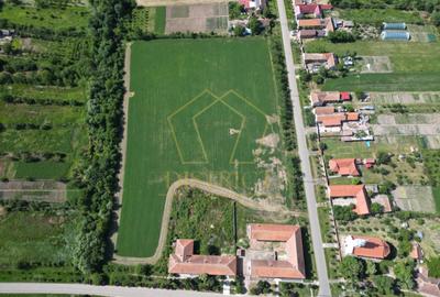 Teren Construcții intravilan de 16716 mp, în Petrovaselo - 4