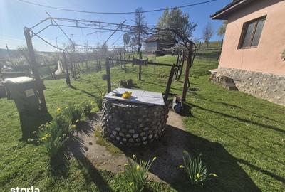 Casă cu 3 camere cu Teren 2586 Mp în Central - 10