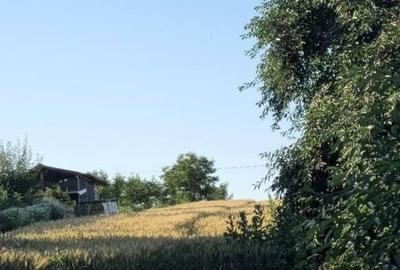 Spațiu comercial, în Hancea