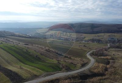Teren agricol extravilan de 68403 mp, în Popești - 5
