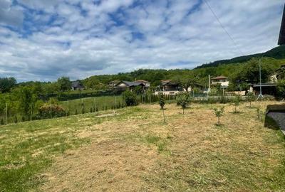 Casă cu 3 camere cu Teren 1100 Mp în Central - 19