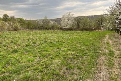 Teren de 4000 mp, în Grajduri - 4