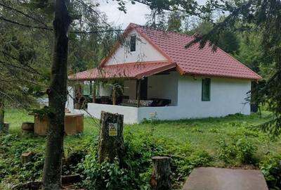 Casă cu 2 camere în Lepșa - 3