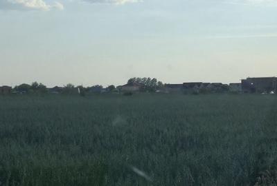 Teren de 5000 mp, în Giroc - 6