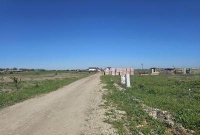 Teren de 482 mp, în Berceni