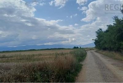 Teren de 39600 mp, în Prejmer