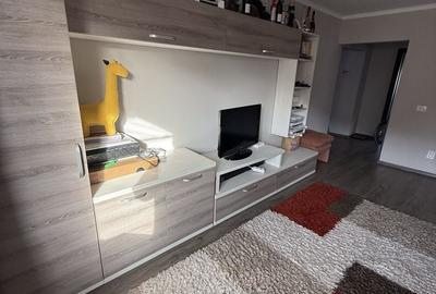 Apartament cu 2 camere decomandat, mobilat în Carpați 2 - 3