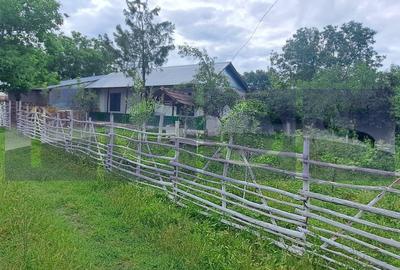 Casă individuală cu 3 camere cu Canalizare în Beuca - 10