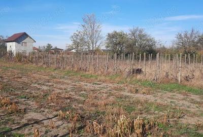 Teren de 1500 mp, în Vânători - 7