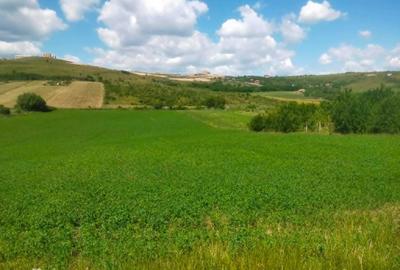 Teren de 5515 mp, în Dezmir - 2