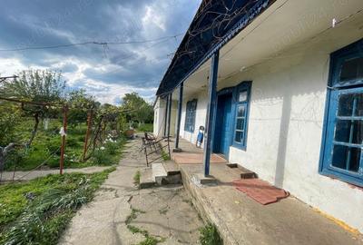 Casă cu 3 camere cu Teren 2000 Mp în Stănești