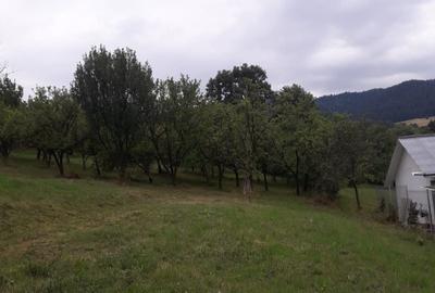 Spațiu comercial, în Văratec - 2