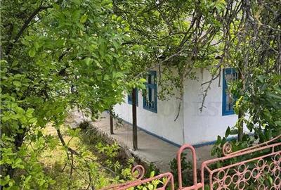 Casă individuală cu 3 camere cu Teren 3100 Mp în Poșta - 10